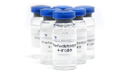 RTiterFast兔用水性佐劑